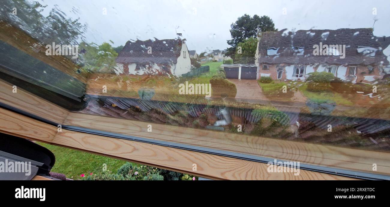 Allotment under a rainy weather, Abbeville, Somme, HautsdeFrance