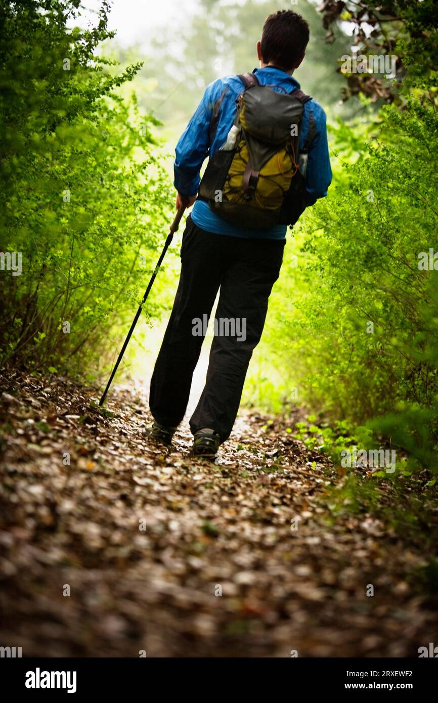 The rear view of a woman hiker Stock Photo - Alamy