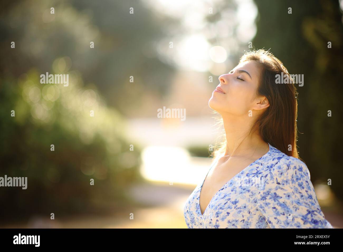 Profile of a happy woman breathing fresh air in a sunny day in a park ...