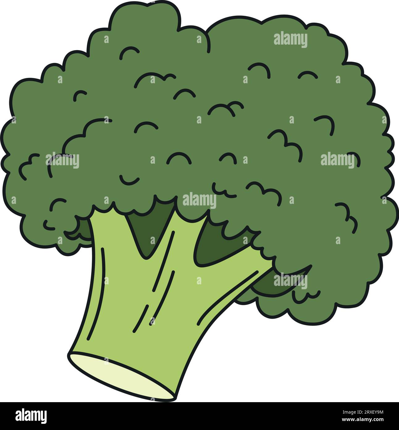 Broccoli with line vector flat icon. Isolated Stock Vector