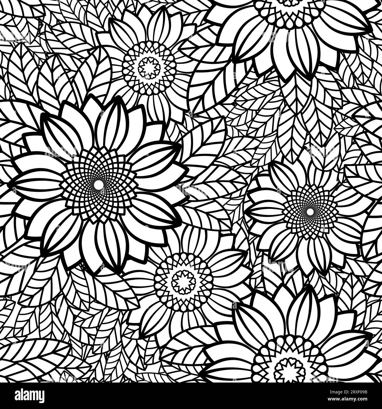 Sunflower zentangle hi-res stock photography and images - Alamy