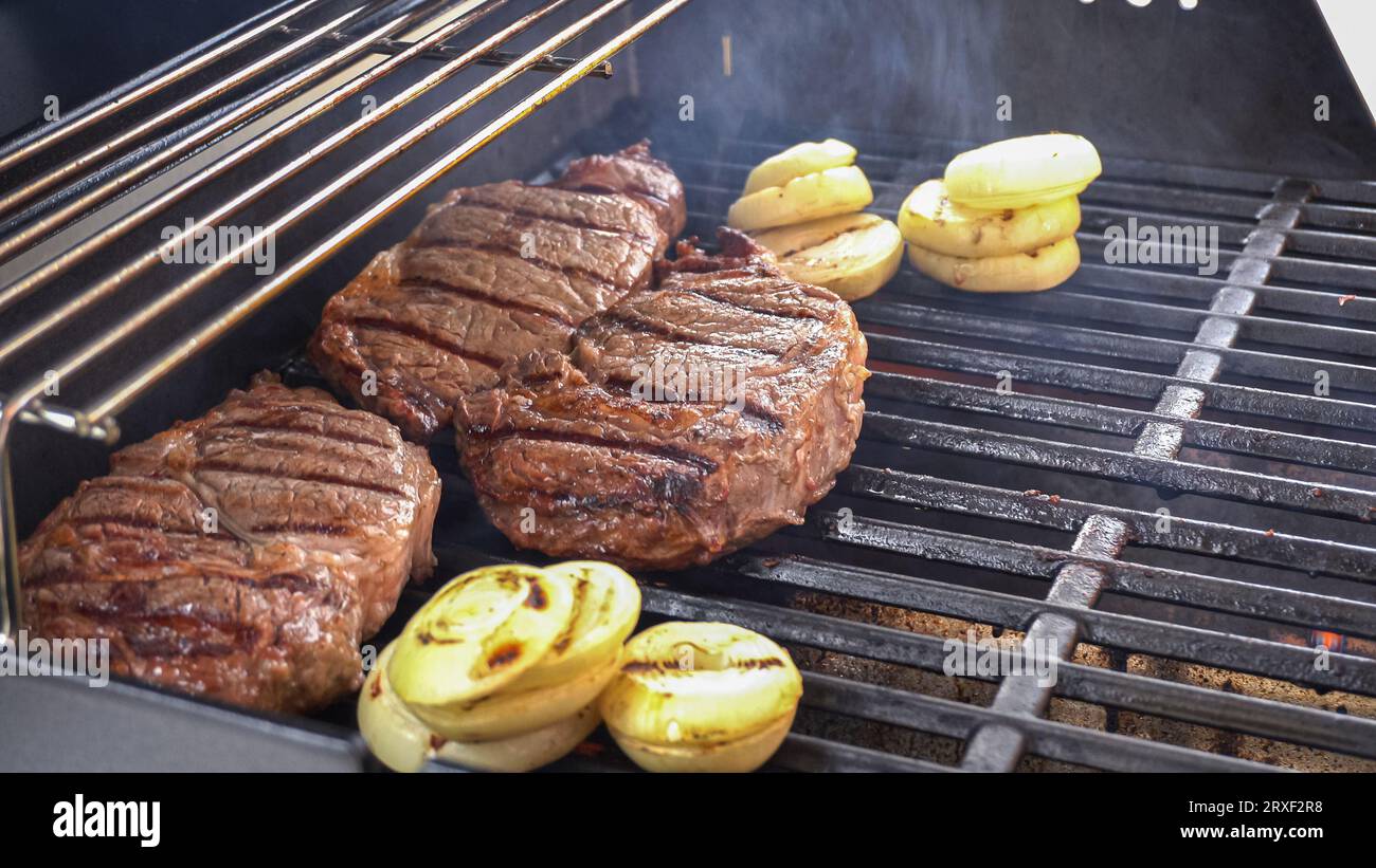 Two burner gas grill hi-res stock photography and images - Alamy