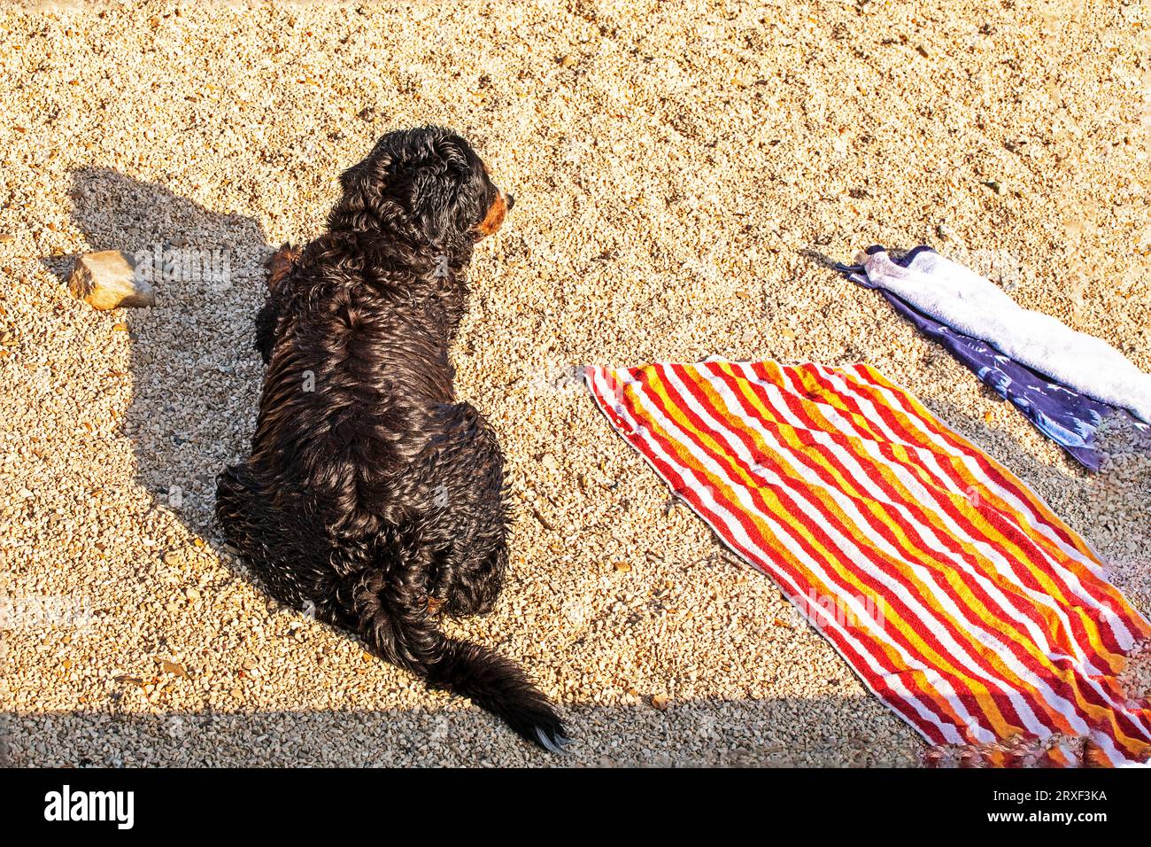 Wooden Sand Brush For Feet & Gear – Beach Sand Cleaner With Ergonomic Handle, Portable For Vacation, Pets, Sports
