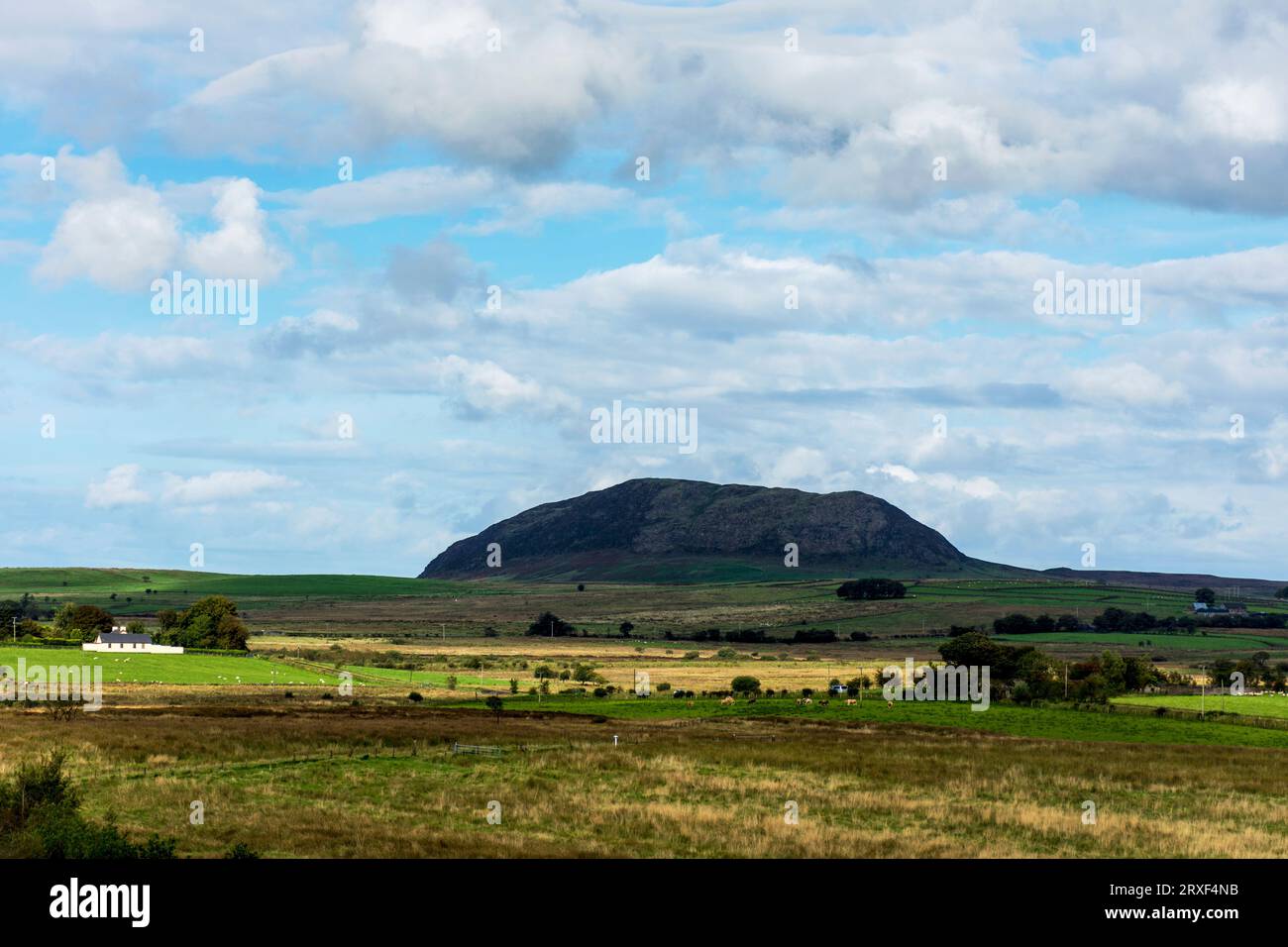 Slemish, historically called Slieve Mish, is a hill in County Antrim, Northern Ireland. It lies a few miles east of Ballymena. Stock Photo