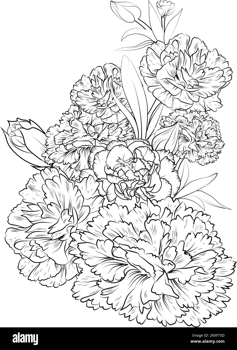 January birth flower tattoo, carnation january flower tattoo, carnation