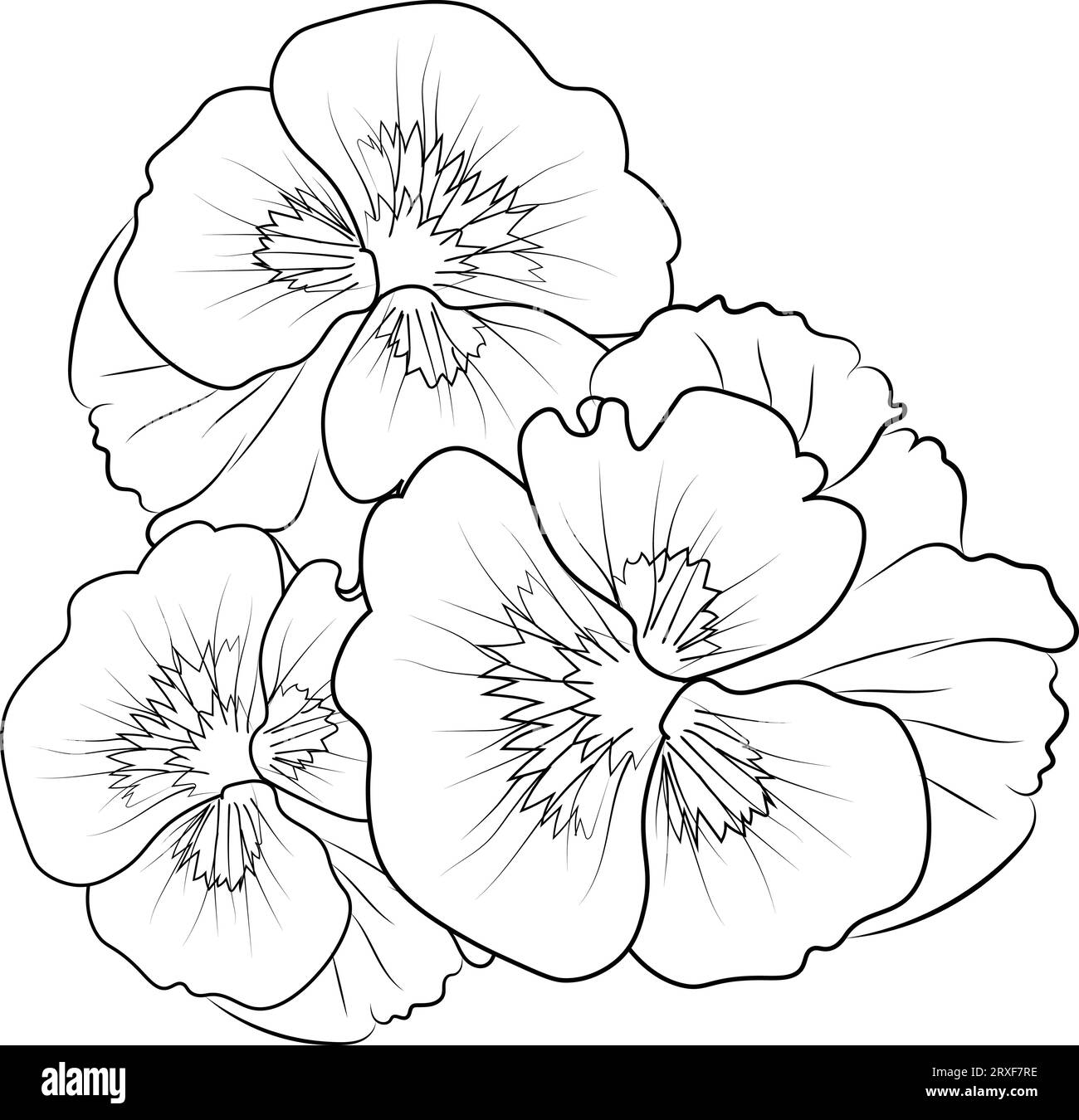 Pansy flower tattoo, black and white vector sketch illustration of floral ornament bouquet of