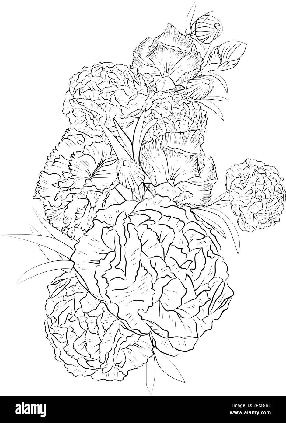 tattoo carnation flower drawing, black carnation tattoo, detailed black