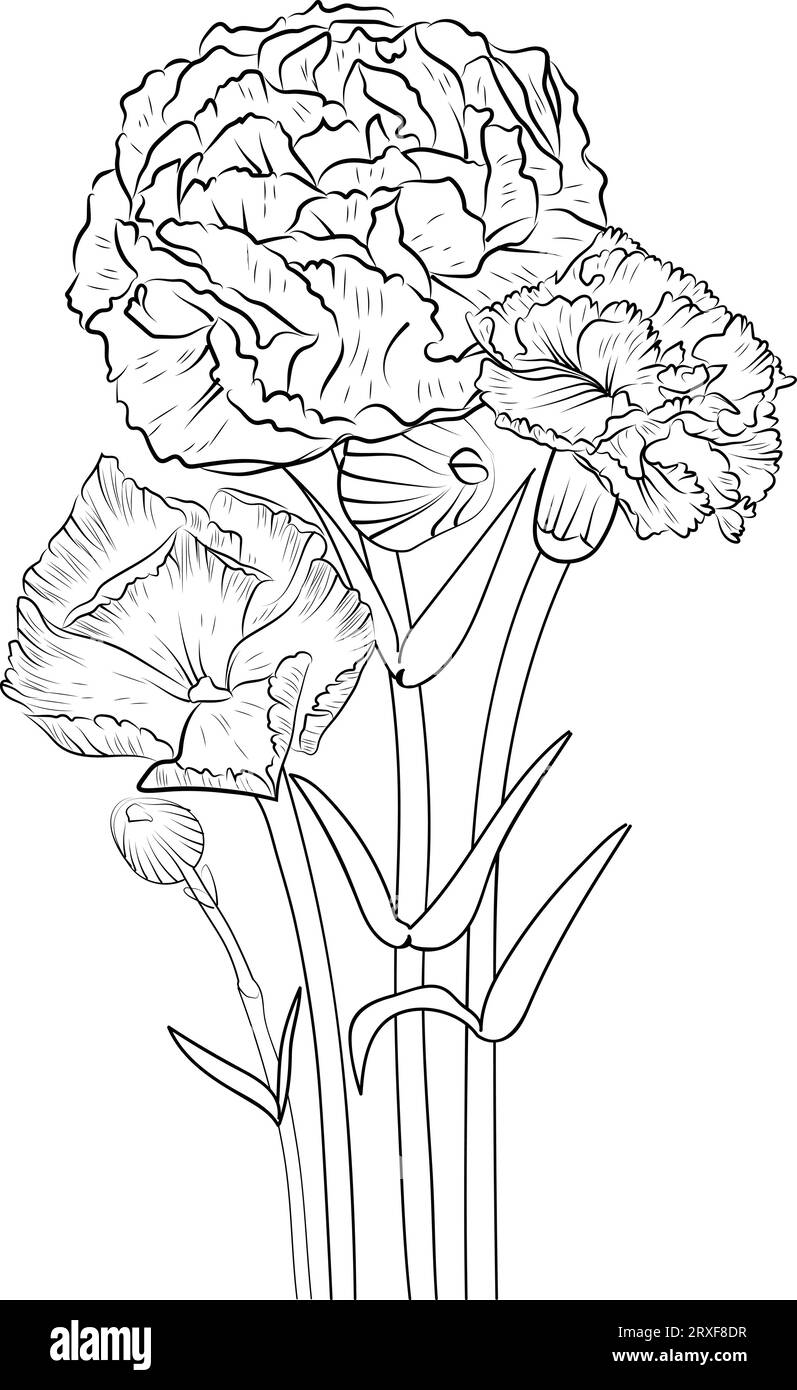 January birth flower drawing, birth flower minimalist carnation tattoo