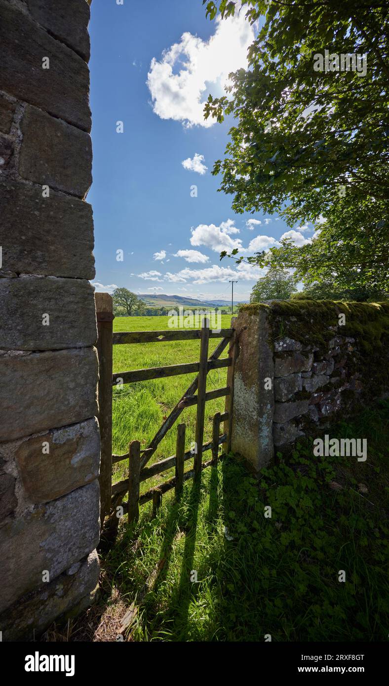 A bright and sunny August afternoon looking south through a broken wooden gate, towards Draughton Moor from Halton East Stock Photo
