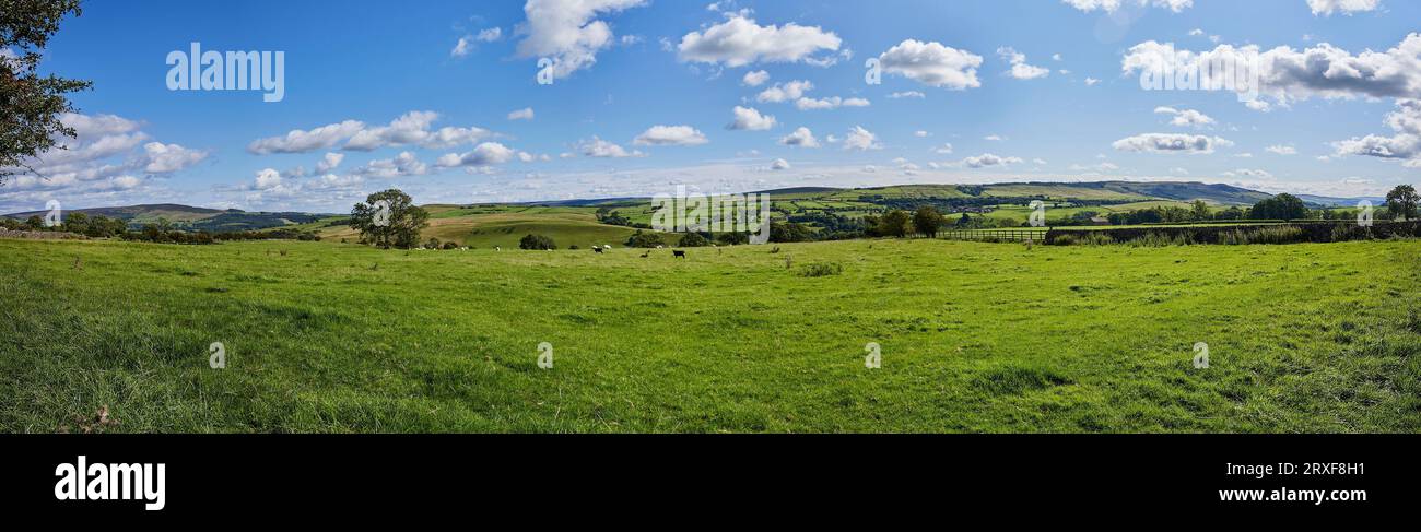 A bright and sunny August afternoon gives a panoramic view looking south towards Draughton Moor from Halton East Stock Photo