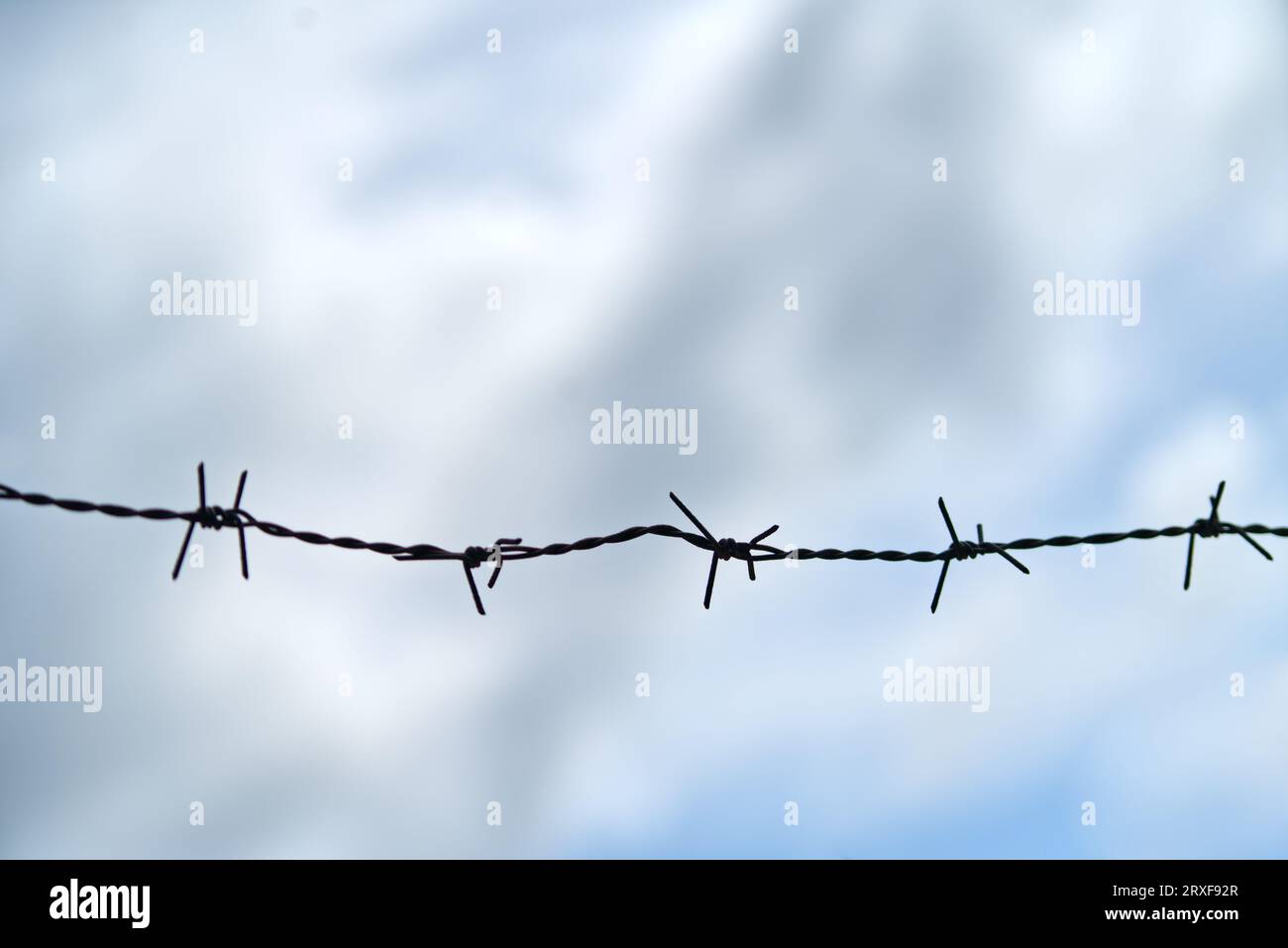 Silhouette single barbed wire protects property or defense with the dull sky background. Stock Photo