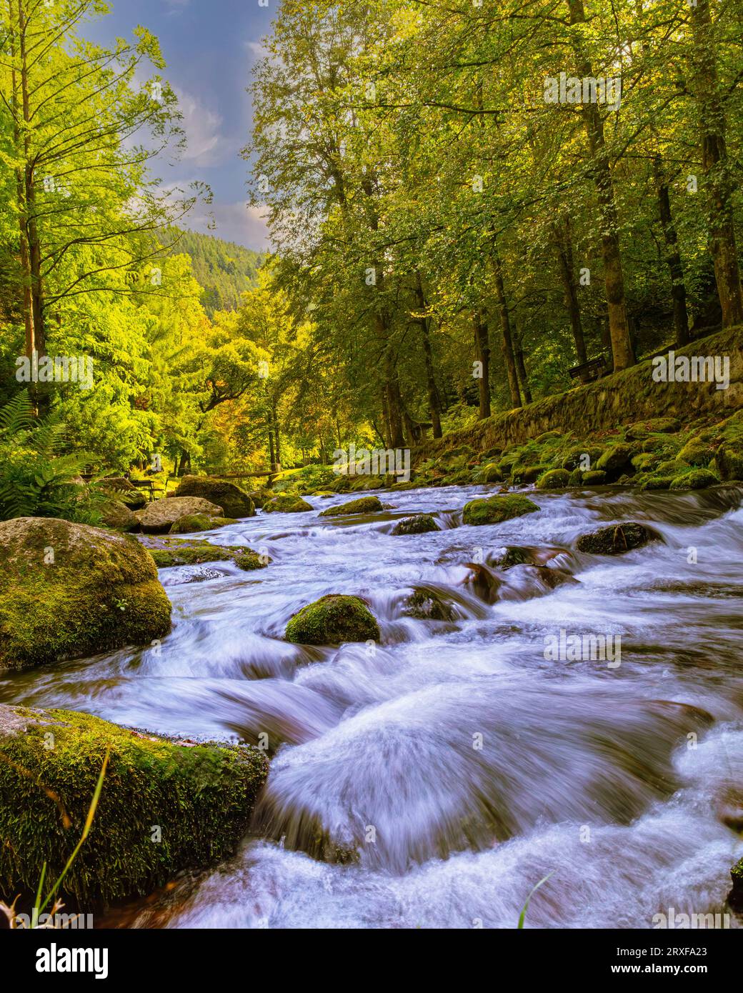 Enz river in the park of Bad Wildbad in Black Forest (Schwarzwald) Germany. Baden Wuerrtemberg Stock Photo