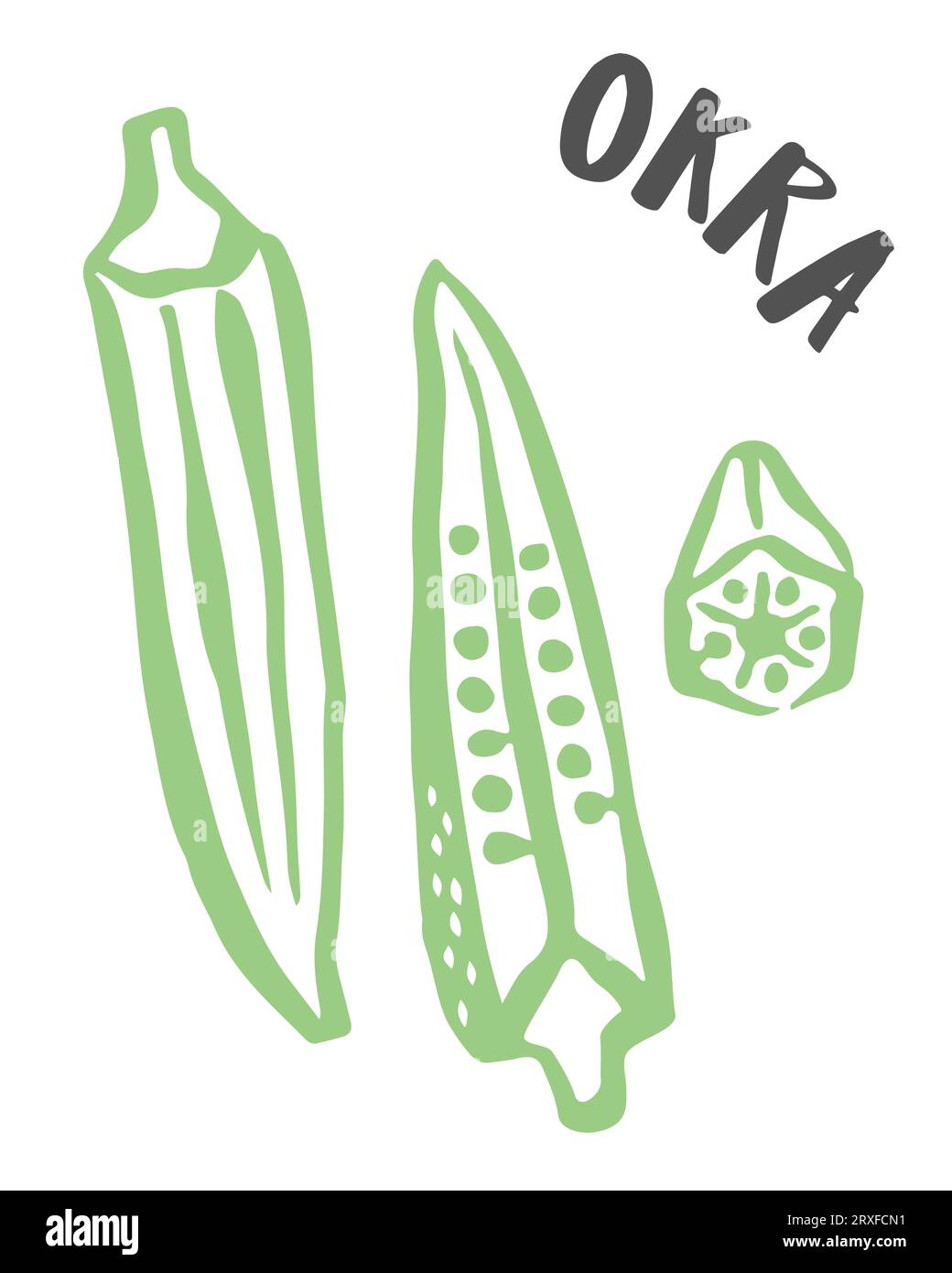 Okra drawing hand painted with ink brush isolated on white background