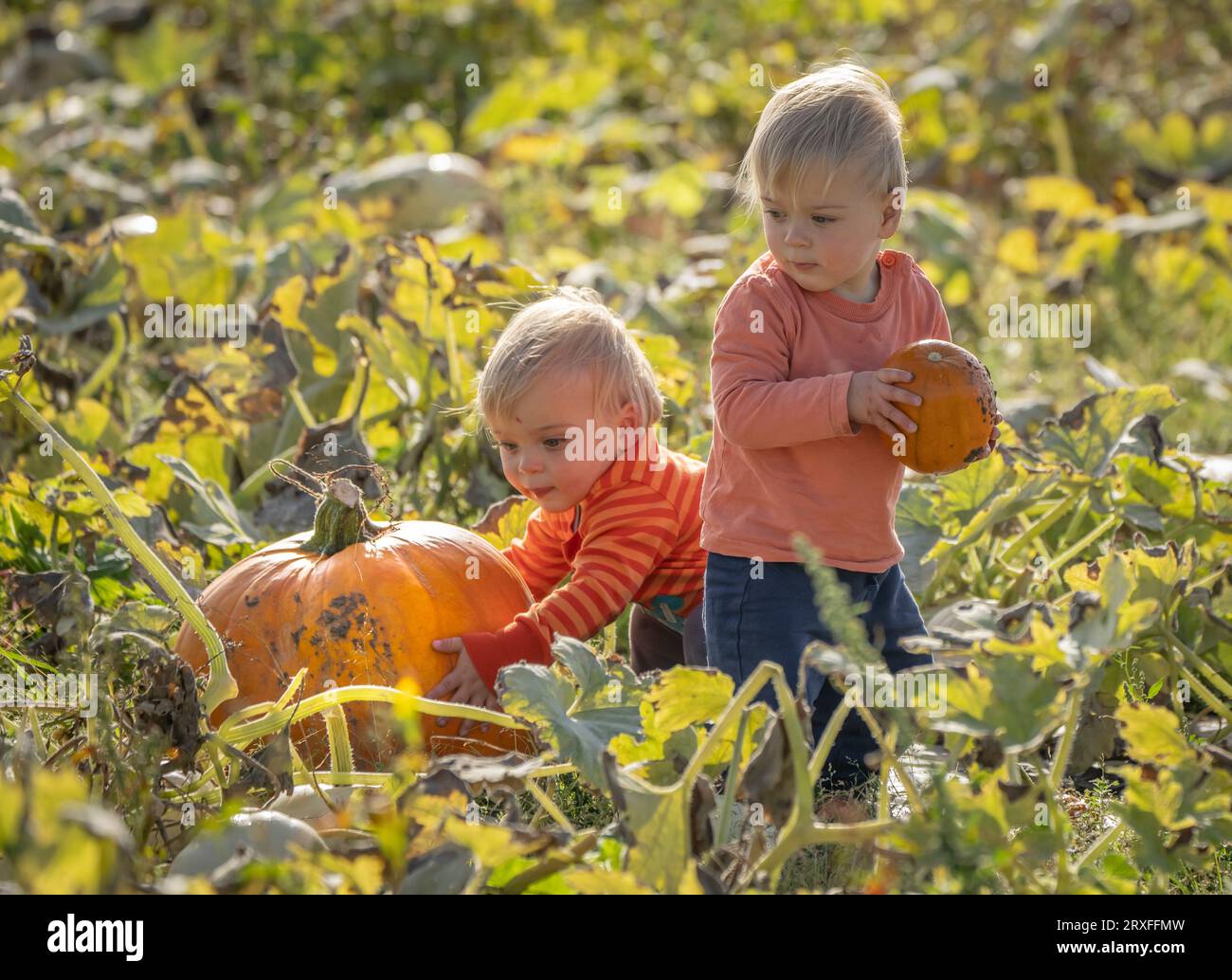 Olek hi-res stock photography and images - Page 2 - Alamy