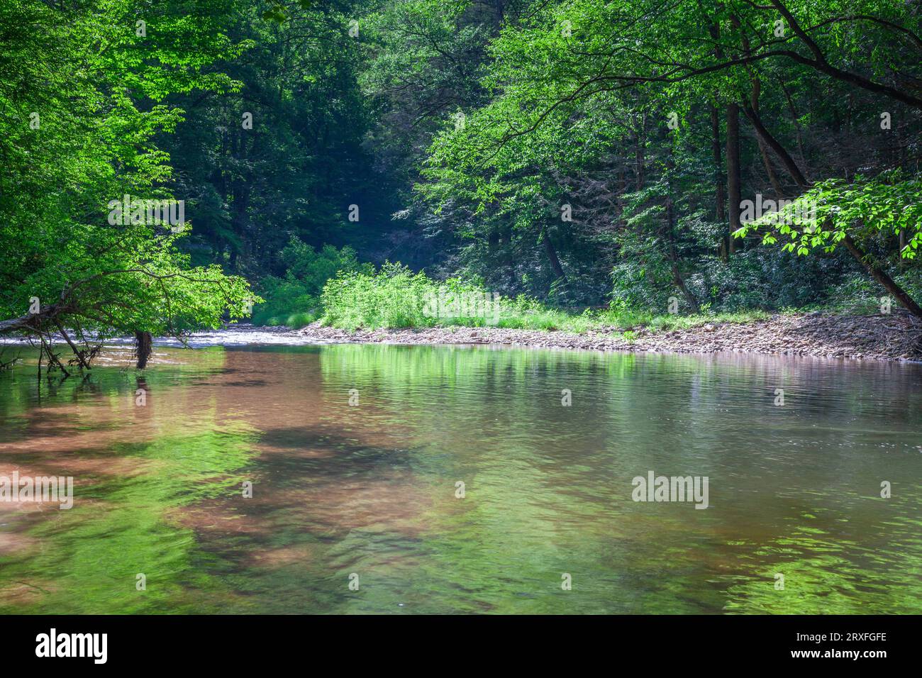 Reflections in the Davidson River, along North Carolina Scenic Byway/Highway 276, in the Pisgah