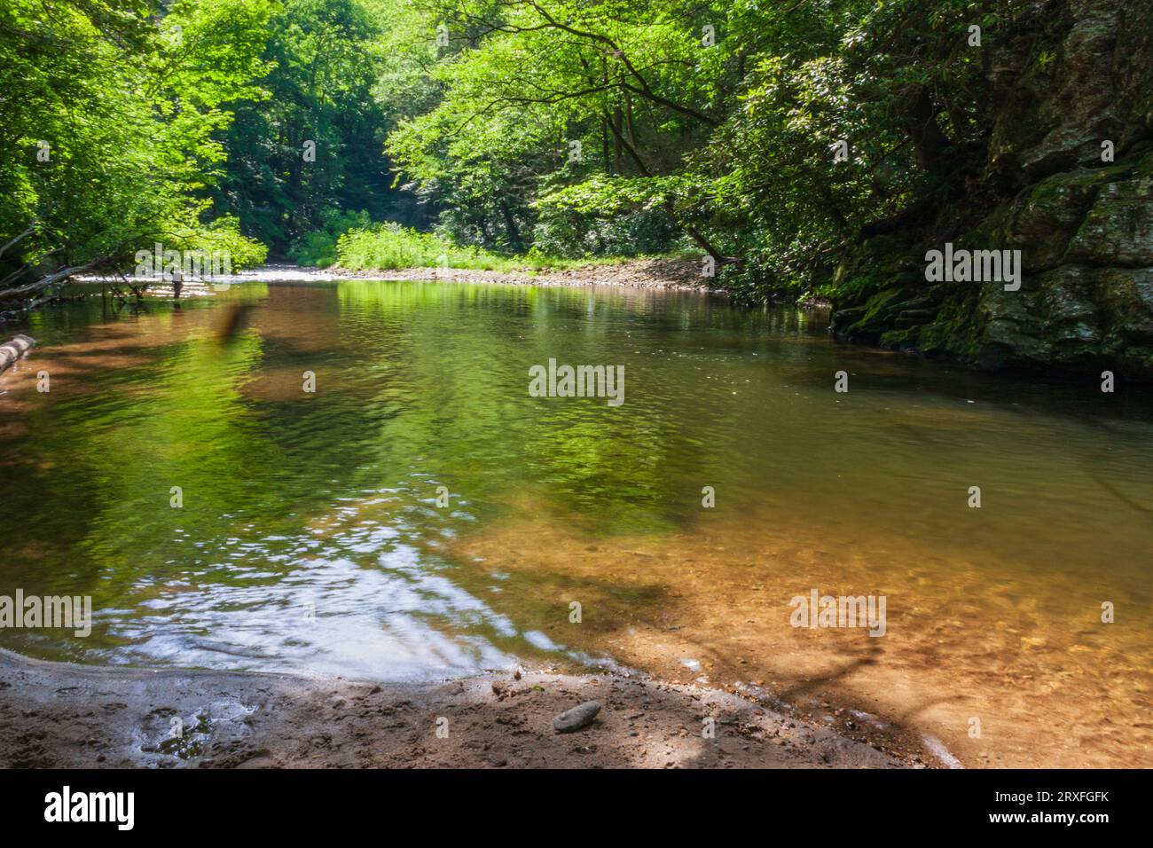 Reflections in the Davidson River, along North Carolina Scenic Byway/Highway 276, in the Pisgah