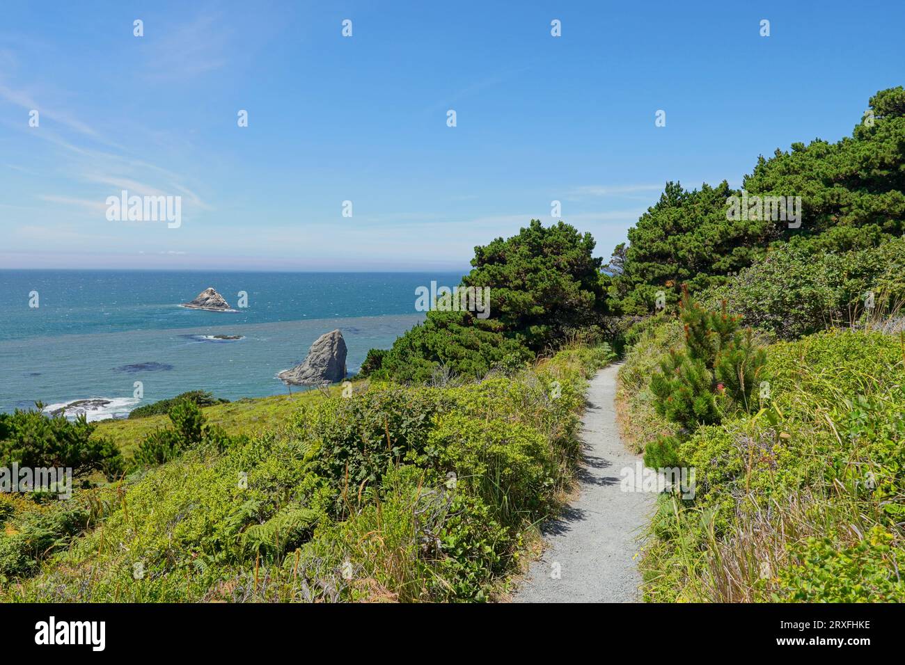 Trail along the Oregon Coast in Port Orford Heads State Park Stock Photo