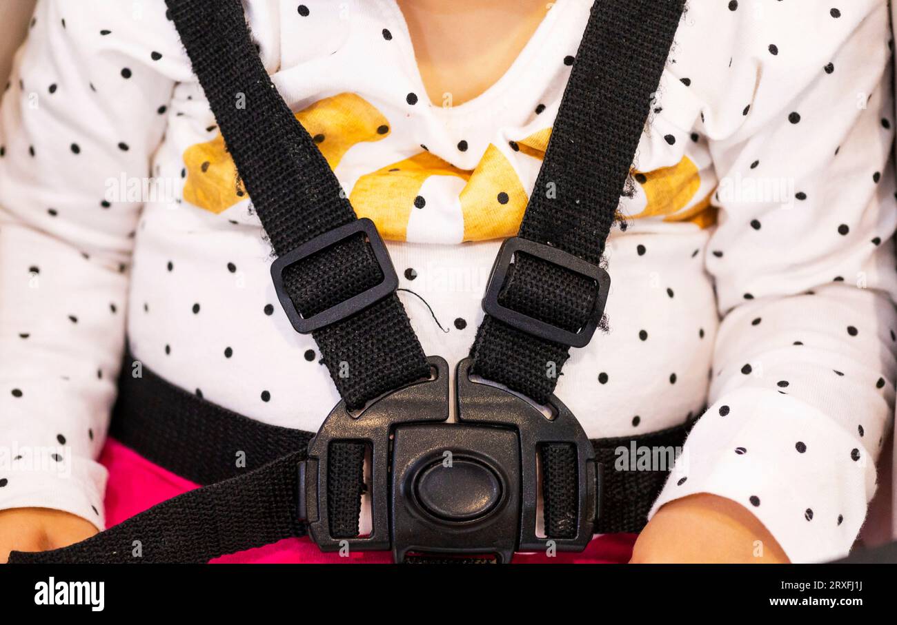 Seat belt in a baby carriage.child seat belts in the car. Closeup
