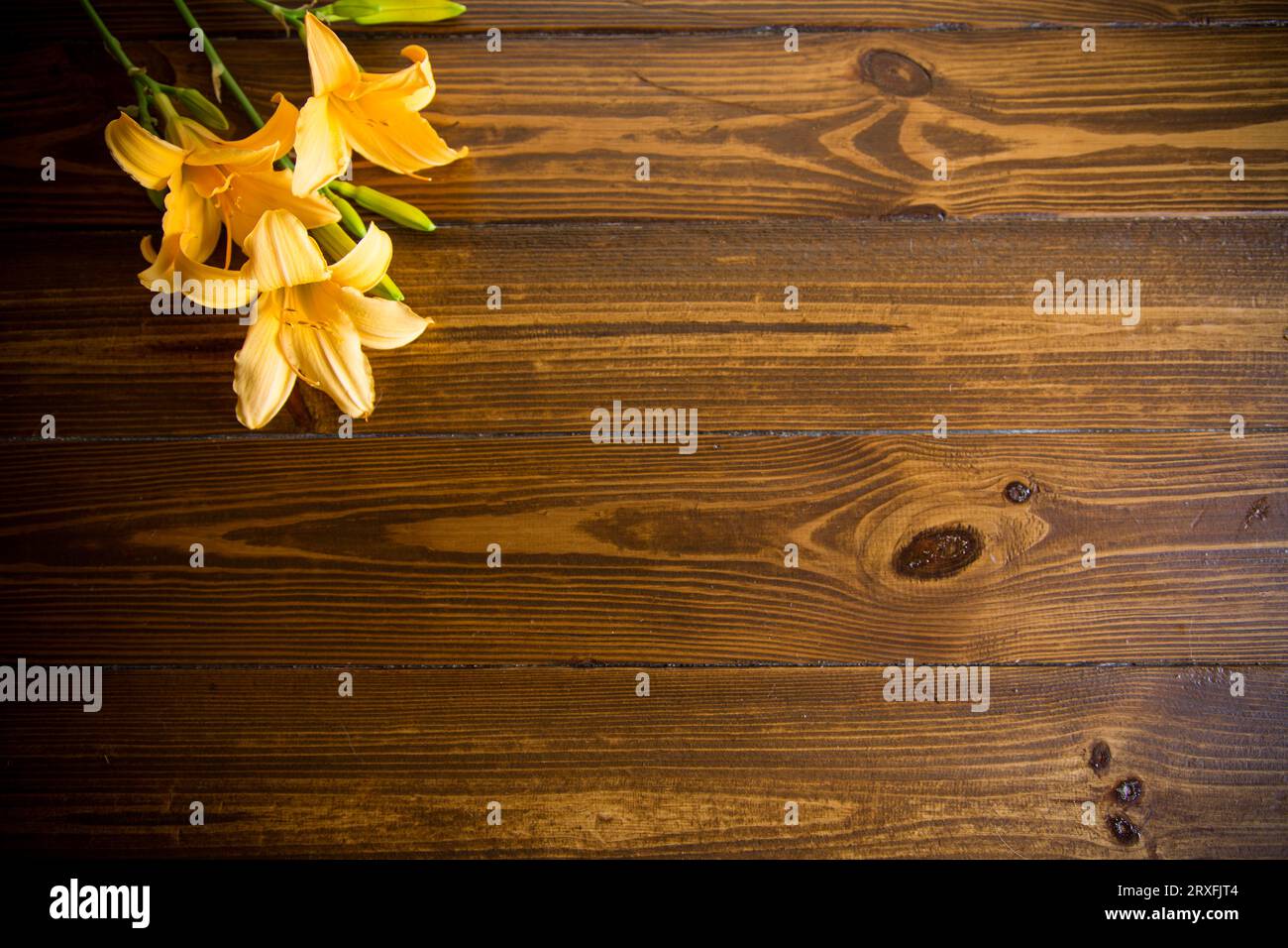 bouquet of beautiful yellow lilies on a dark wooden table Stock Photo