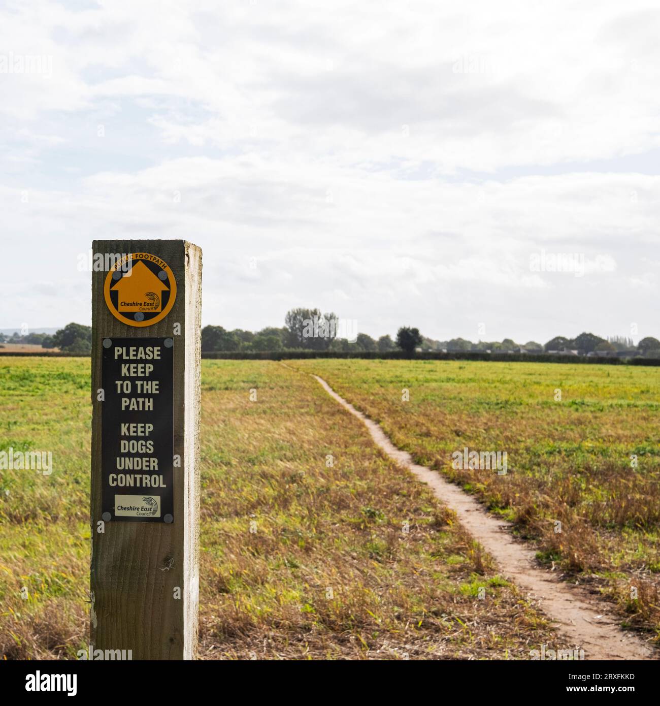 Public footpath sign in farmland, Cheshire UK Stock Photo