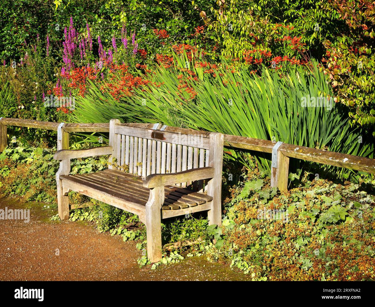 Golden acre park hi-res stock photography and images - Alamy
