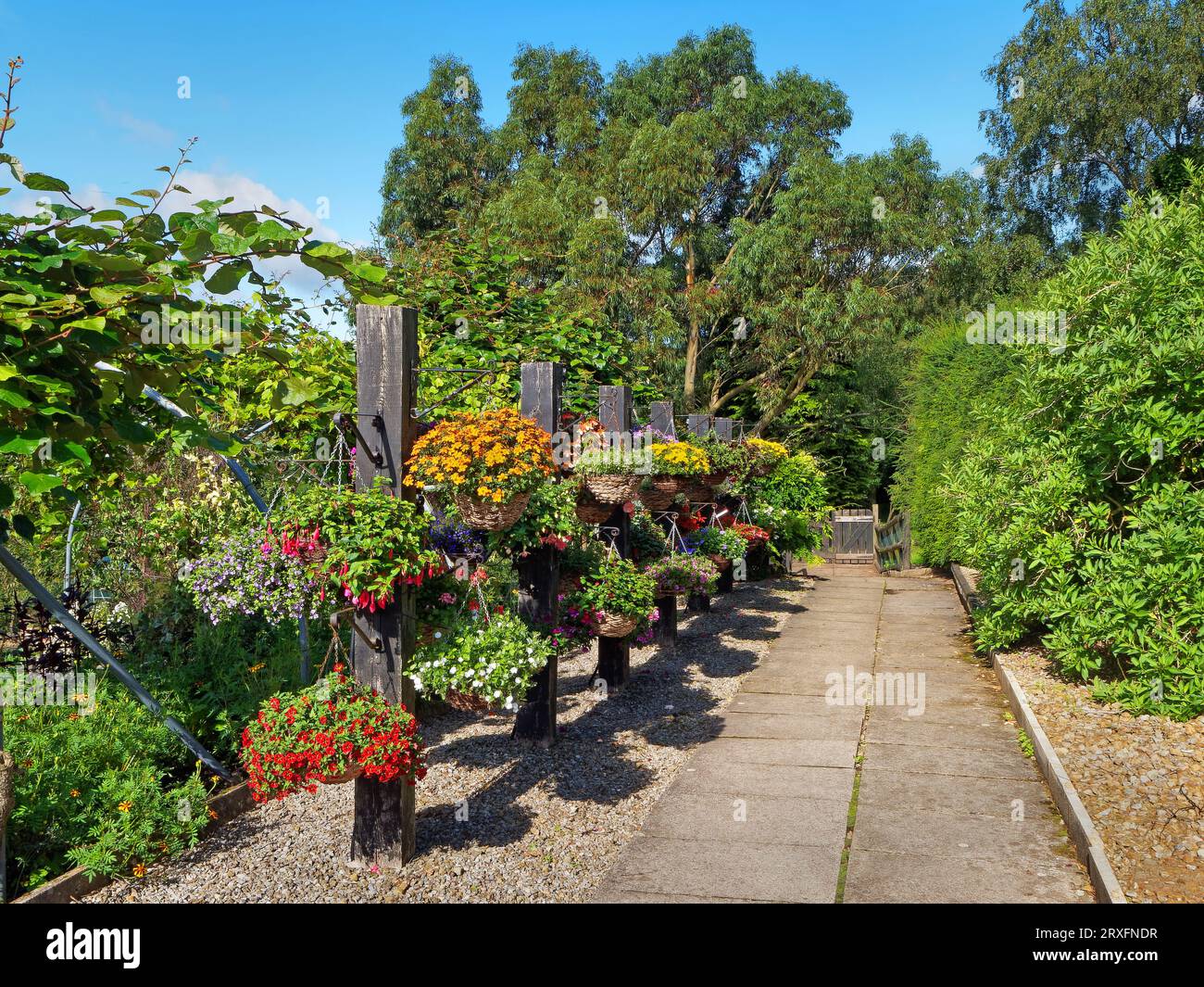 Golden acre park in bramhope hi-res stock photography and images - Alamy