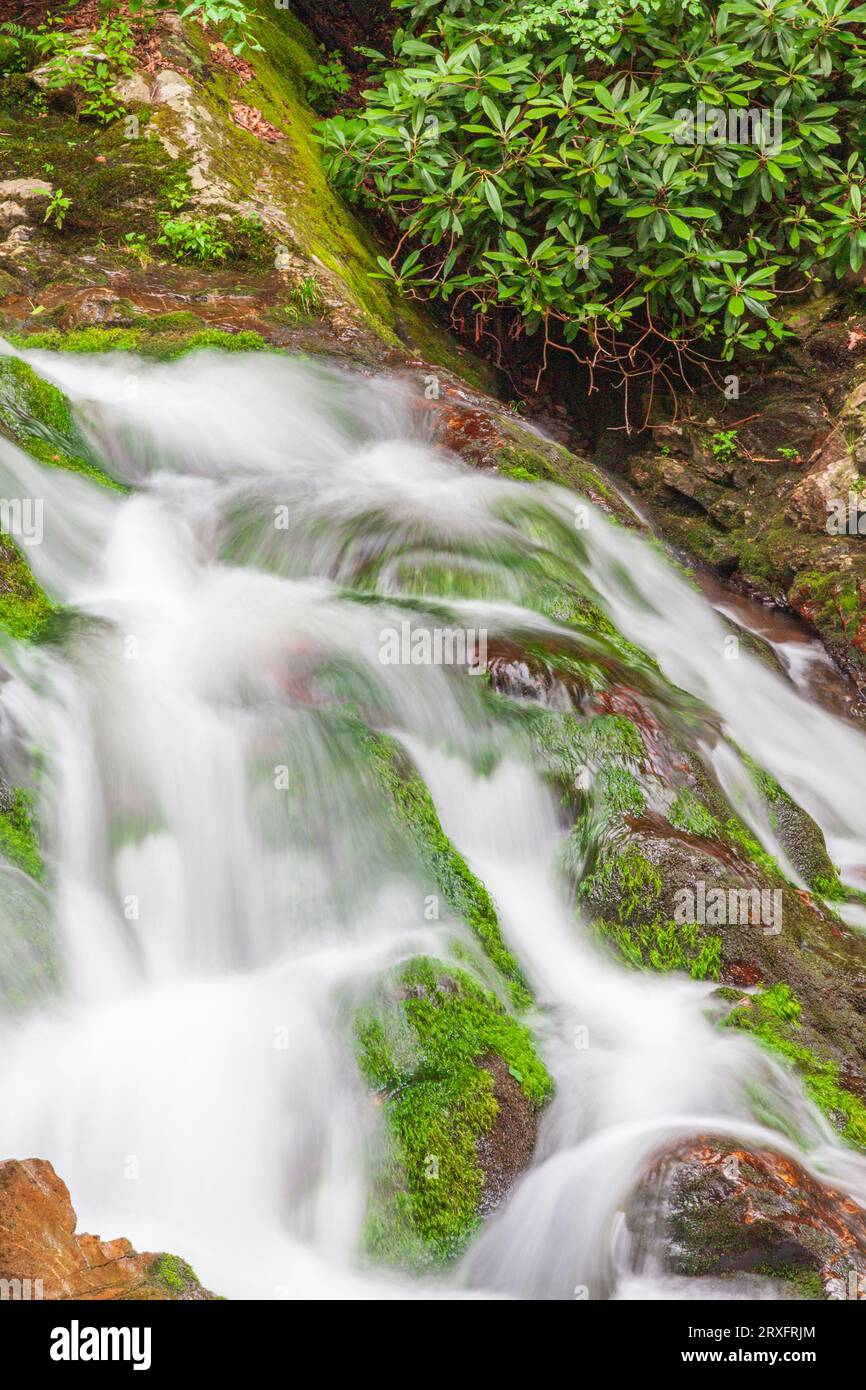 Rapids and waterfalls with lichen covered rocks on Laurel Creek near Cades Cove in the Great Smoky Mountain National Park on the Tennessee side. Stock Photo