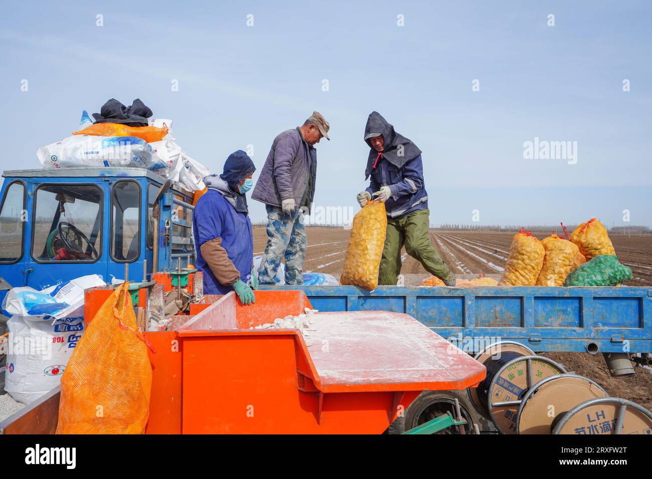 Luannan County, China - March 16, 2023: Farmers add potato seed blocks to the seeder in the field, North China Stock Photo