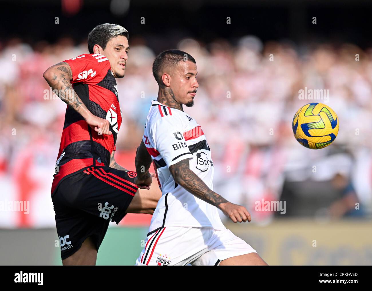 Diego henrique hi-res stock photography and images - Alamy