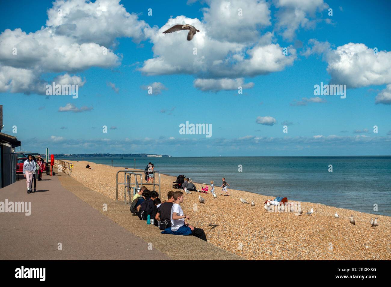 Deal,Sea Front,Promenade,Seagull,Deal,Kent,England Stock Photo