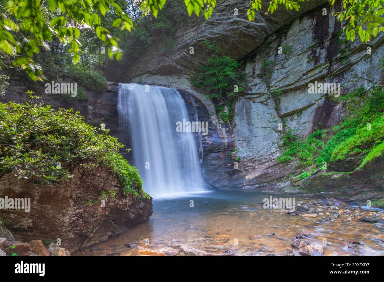 Looking Glass Falls in the Pisgah National Forest in North Carolina. The name 'Looking Glass' comes from the dome of Looking Glass Rock. Stock Photo