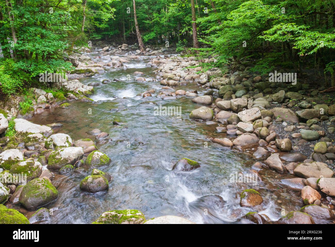 Middle Prong of the Little Pigeon River in the Greenbrier section on the Tennessee side of the Great Smoky Mountains National Park. Stock Photo