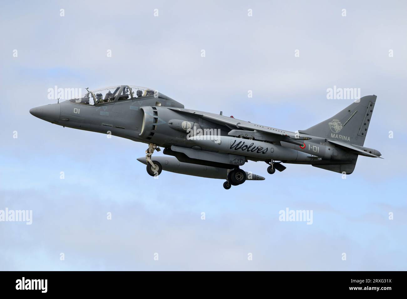 McDonnell Douglas AV8B Harrier two seat fighter/ trainer of the Italian Navy Stock Photo