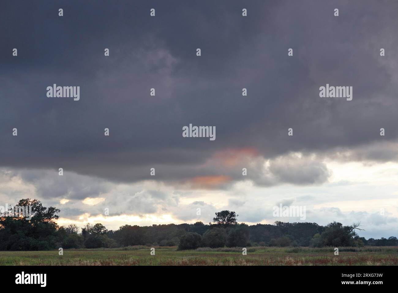 Evening mood over the Elbe meadows, cloud formations, Middle Elbe Biosphere Reserve, Saxony-Anhalt, Germany Stock Photo