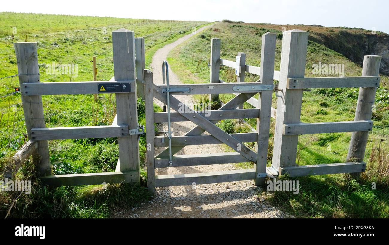 Well maintained country stile, Cornwall, UK - John Gollop Stock Photo
