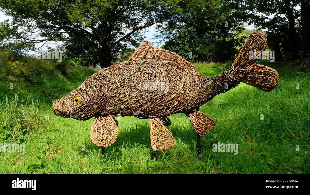 Fish garden statues from woven willow, Cornwall, UK - John Gollop Stock Photo