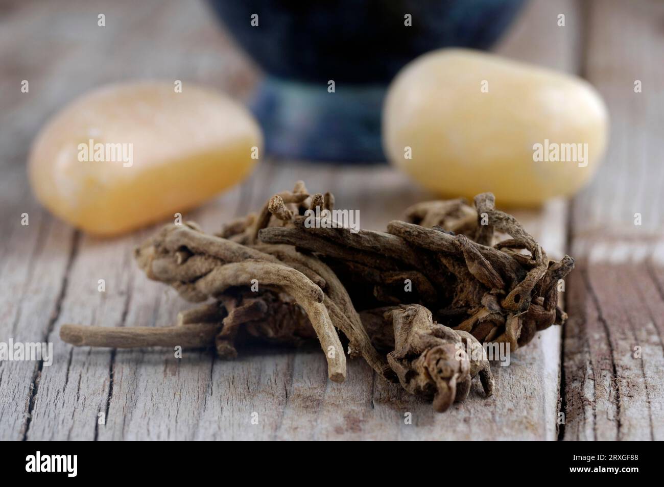 Tagar Roots Indian root valerian hi-res stock photography and images - Alamy
