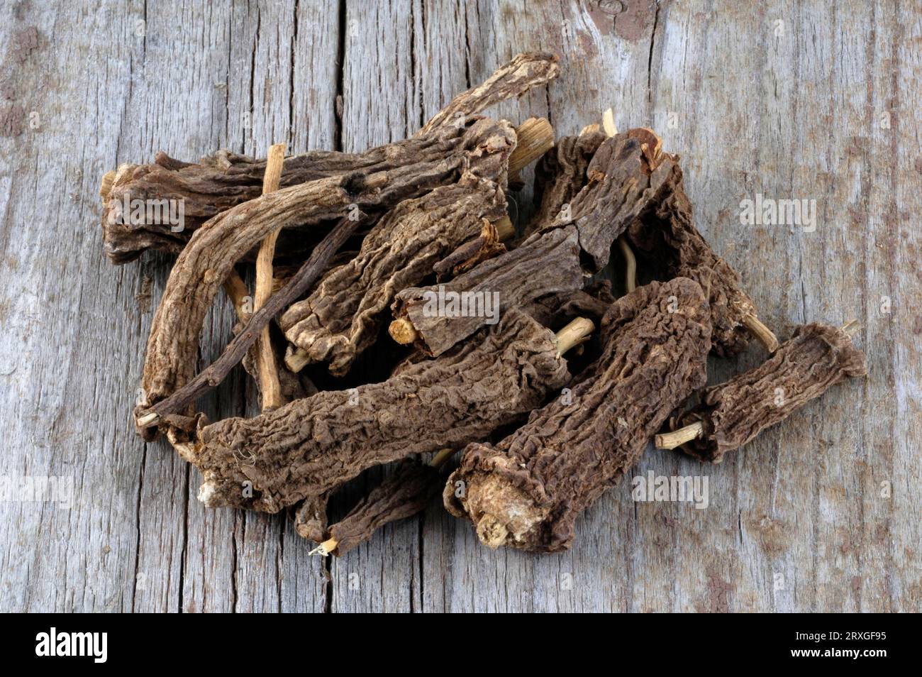 Costus roots (Saussurea costus), Indian costus root, Ayuverdic woods, incense woods, Ayurveda Stock Photo