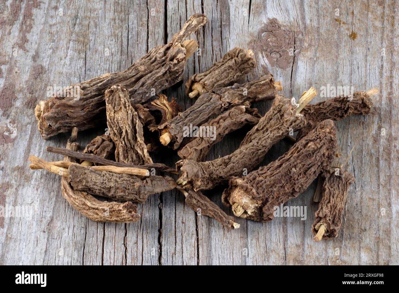 Costus roots (Saussurea costus), Indian costus root, Ayuverdic woods, incense woods, Ayurveda Stock Photo