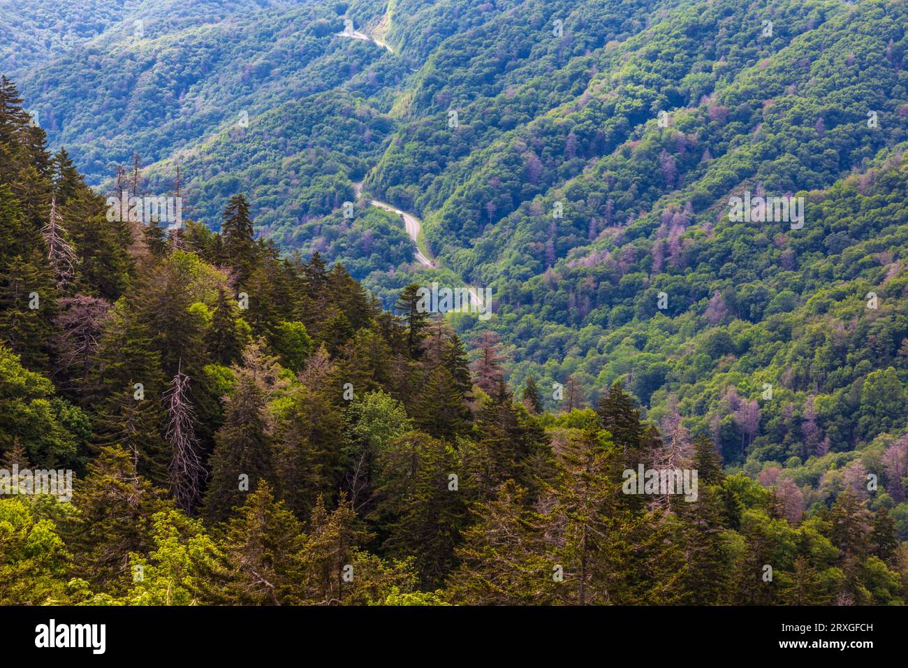 Newfound Gap overlook in the Great Smoky Mountains National Park on the