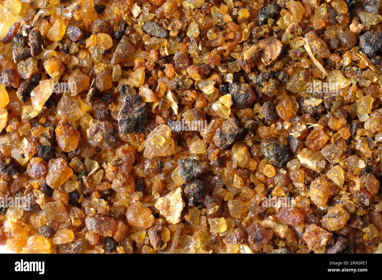 Myrrh commiphora molmol hi-res stock photography and images - Alamy