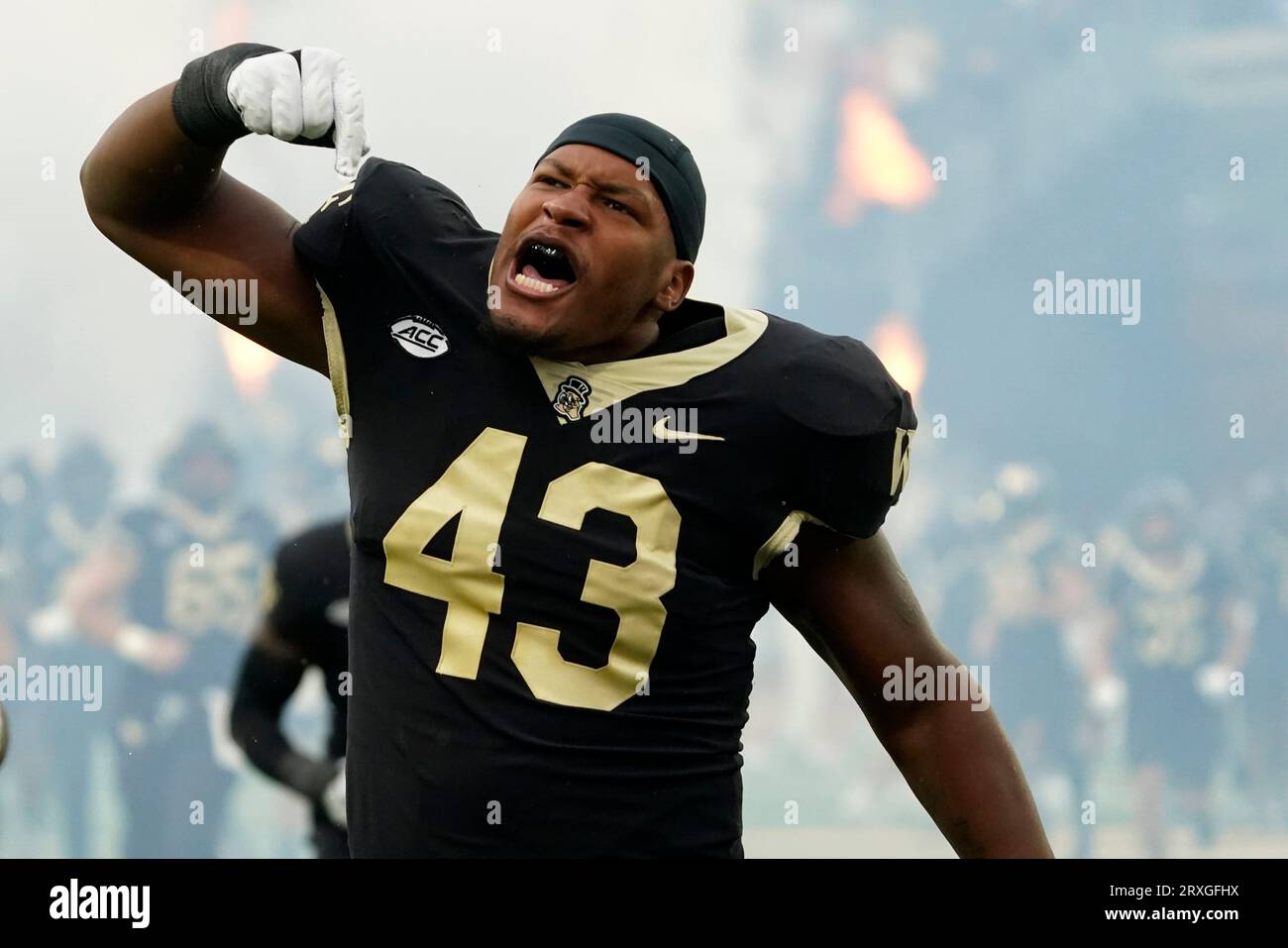 Picture of BJ Williams