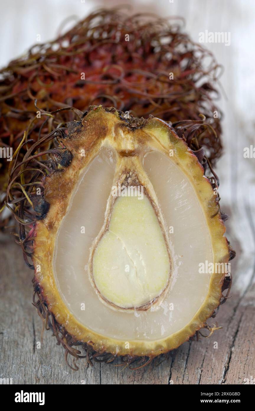 Rambutan Fruits Or Nephelium Lappaceum On Tree. A Tropical Tree In The