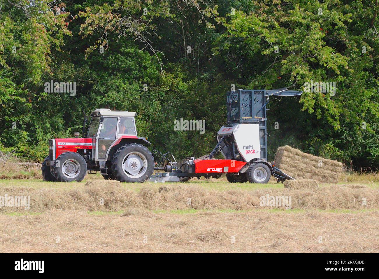 Massey Ferguson 390T tractor hitched to an Arcusin D14 multi pack baler which loads 14 single rectangular bales, in to one large bound bale. Stock Photo
