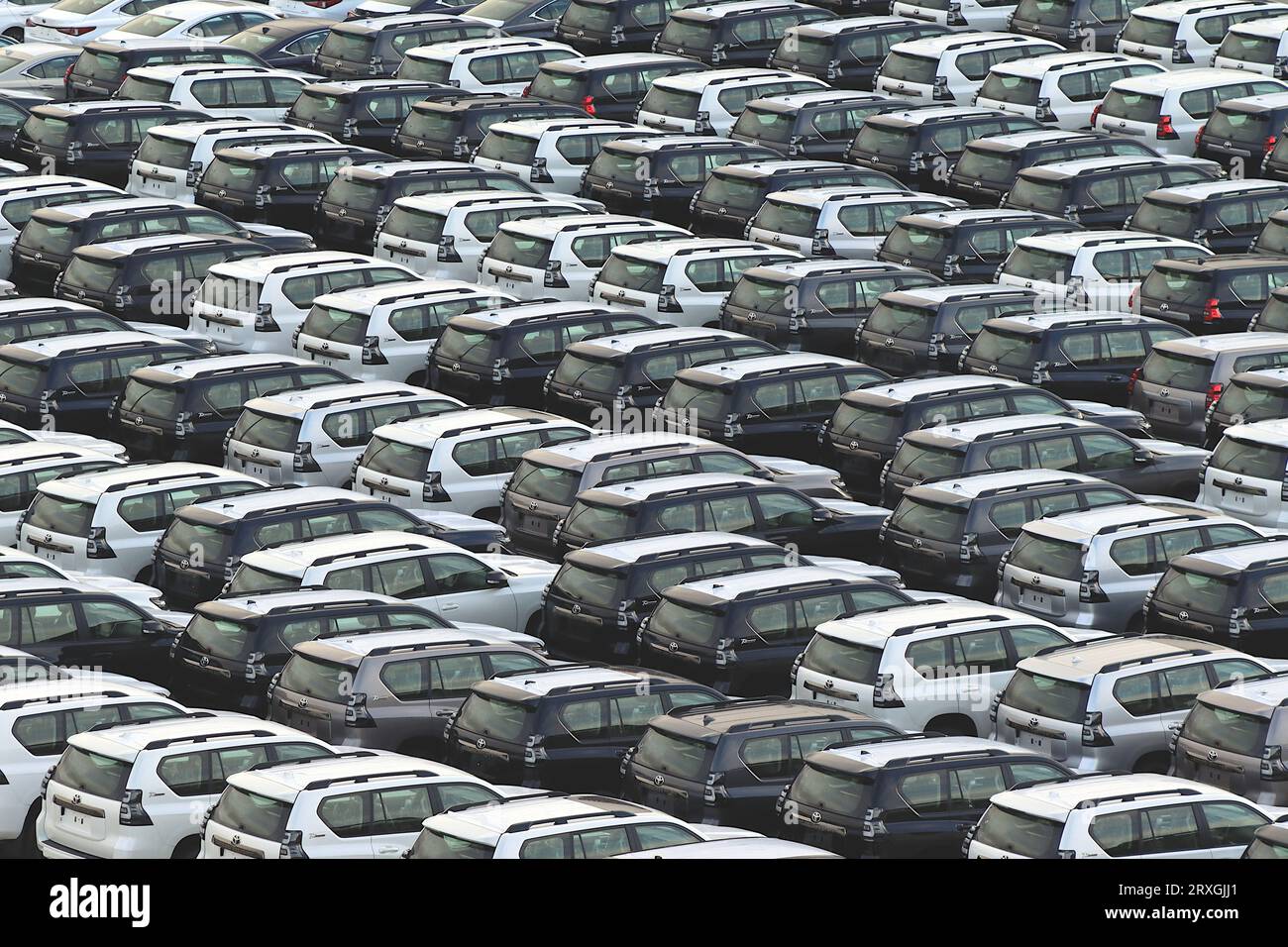 In excess of 600 Toyota Land Cruiser Prado SUVs and Toyota sedans await UK and European distribution while stored at Zeebrugge. Stock Photo