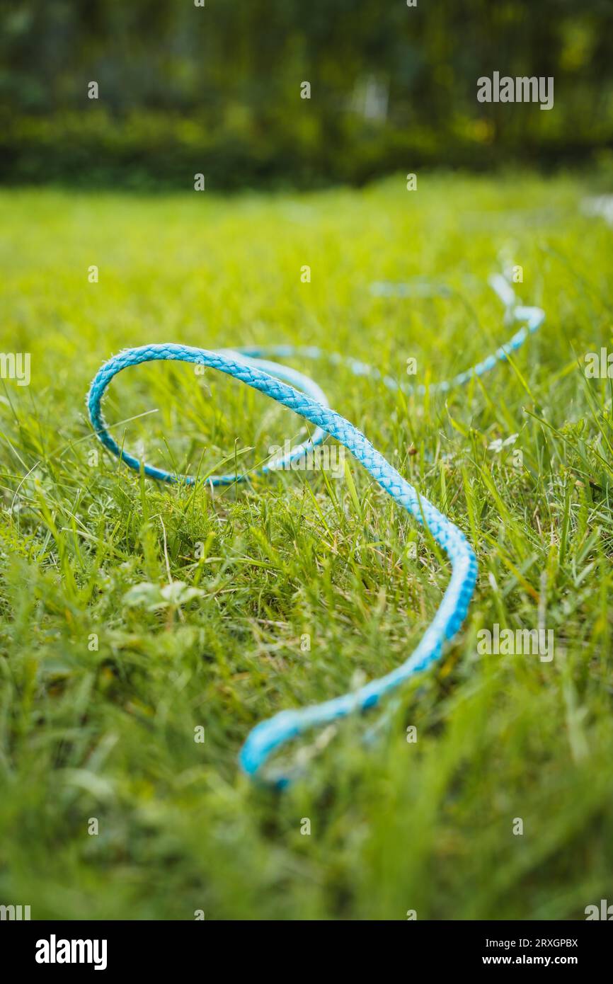 Blue rope on green grass close up Stock Photo