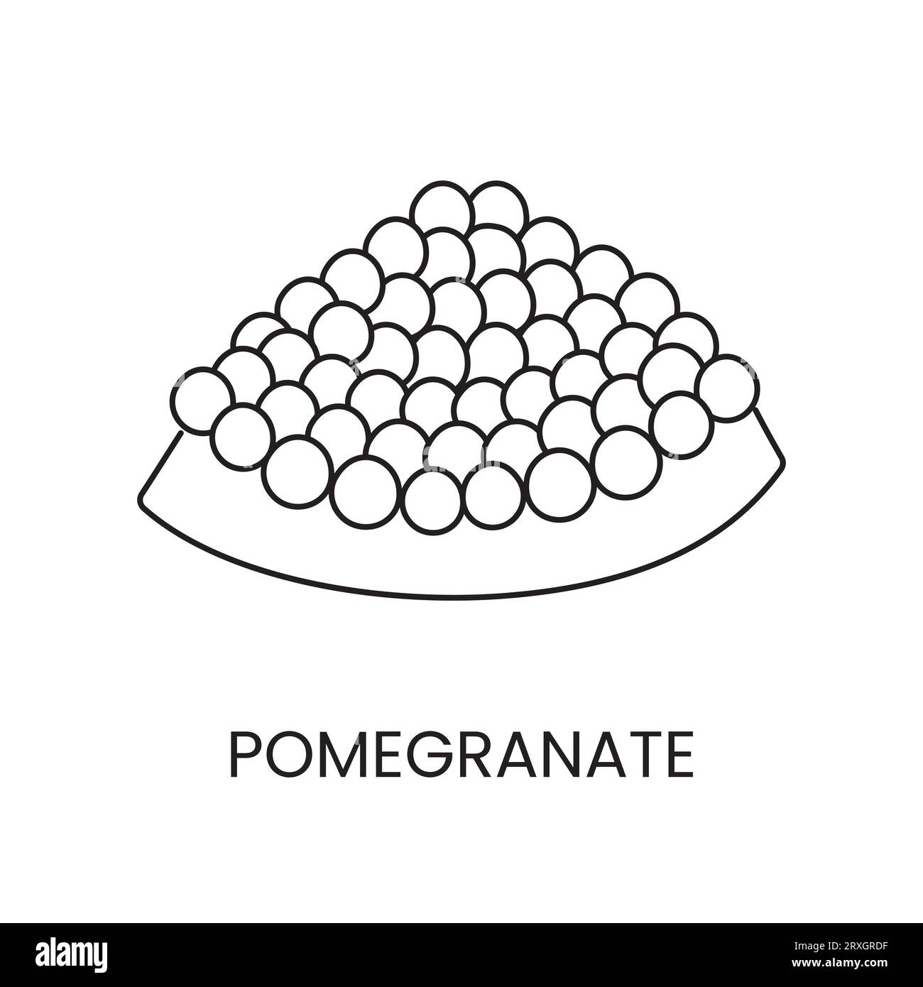 Pomegranate line icon in vector, fruit illustration Stock Vector