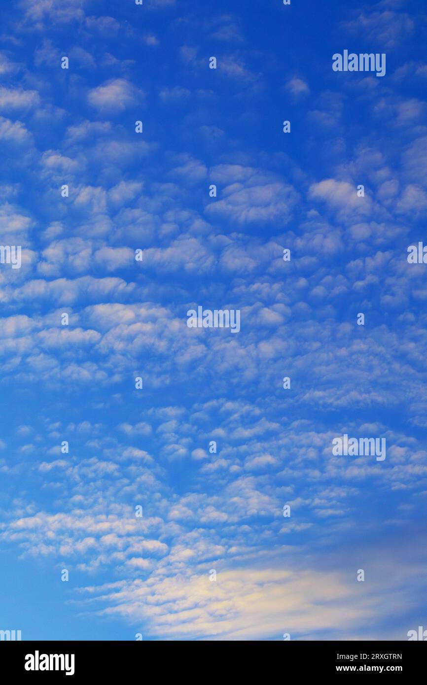Summer blue sky with white beauty clouds Stock Photo - Alamy