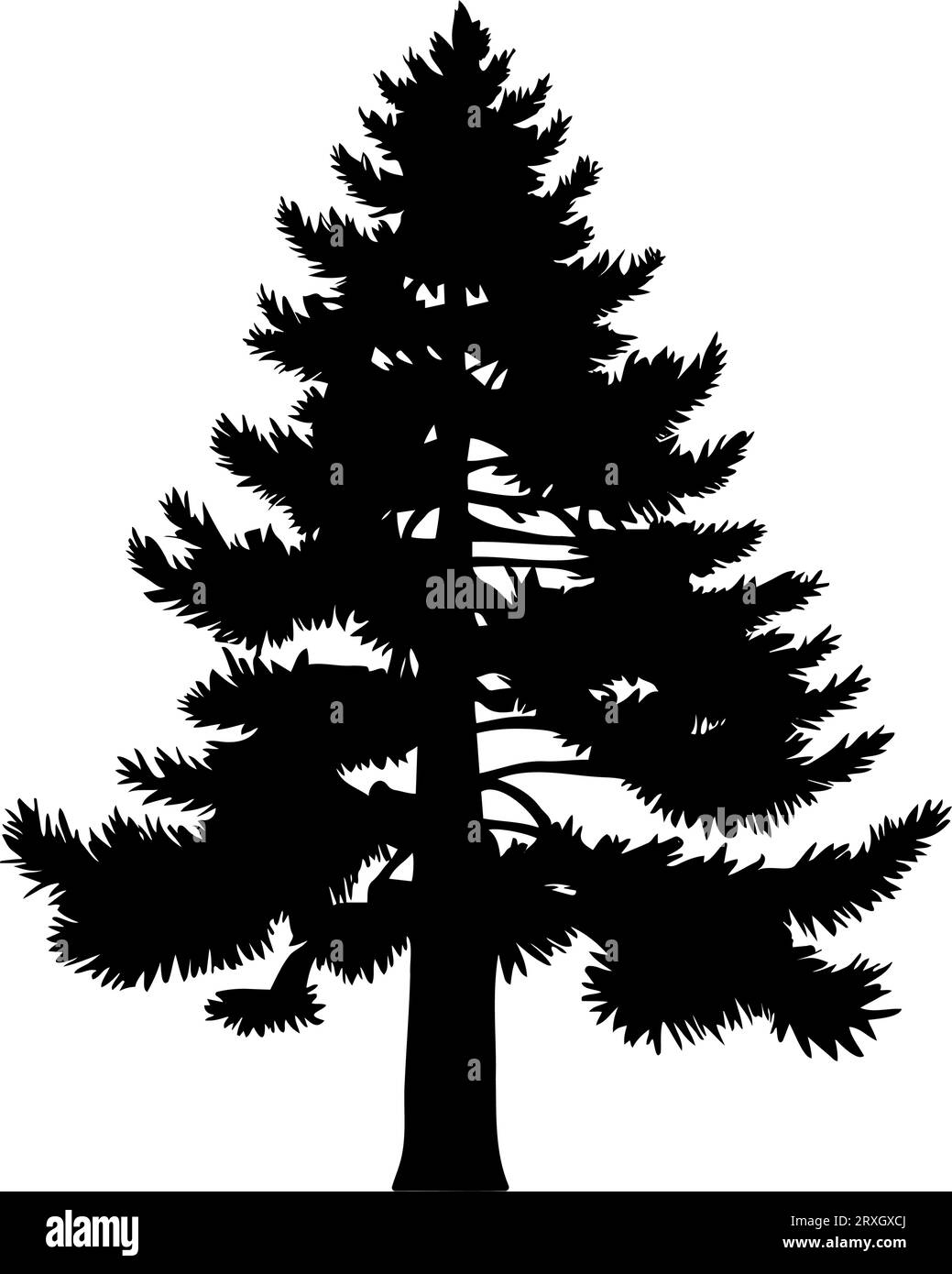 Pine or Fir tree silhouette. Vector illustration Stock Vector