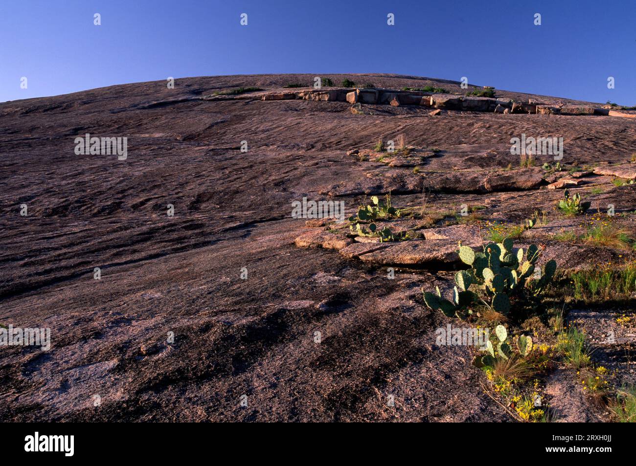 Enchanted Rock, Enchanted Rock State Park, Texas Stock Photo Alamy